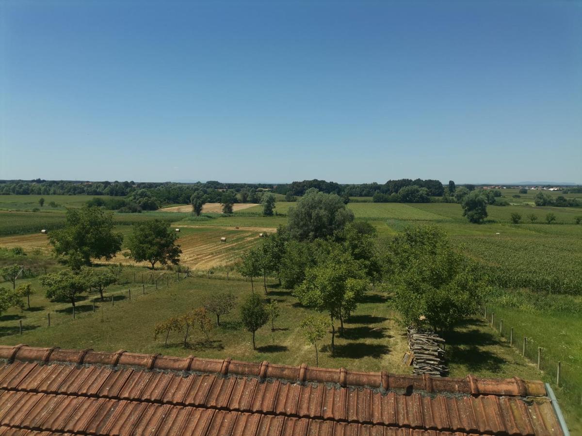 Apartman Sipa Bjelovar Luaran gambar